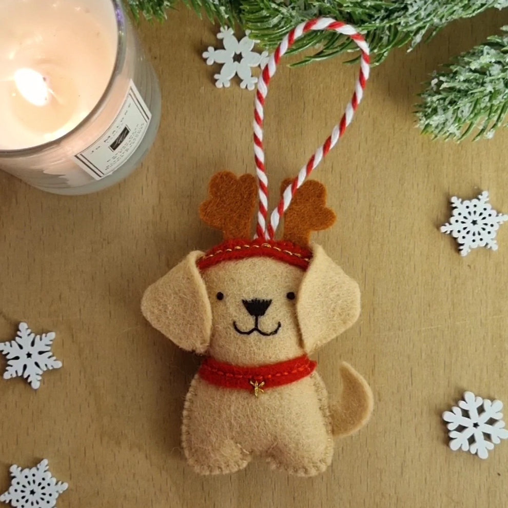 Advent Calendar 2024 Festive Dog Day 11 PDF pattern What a Curly Life